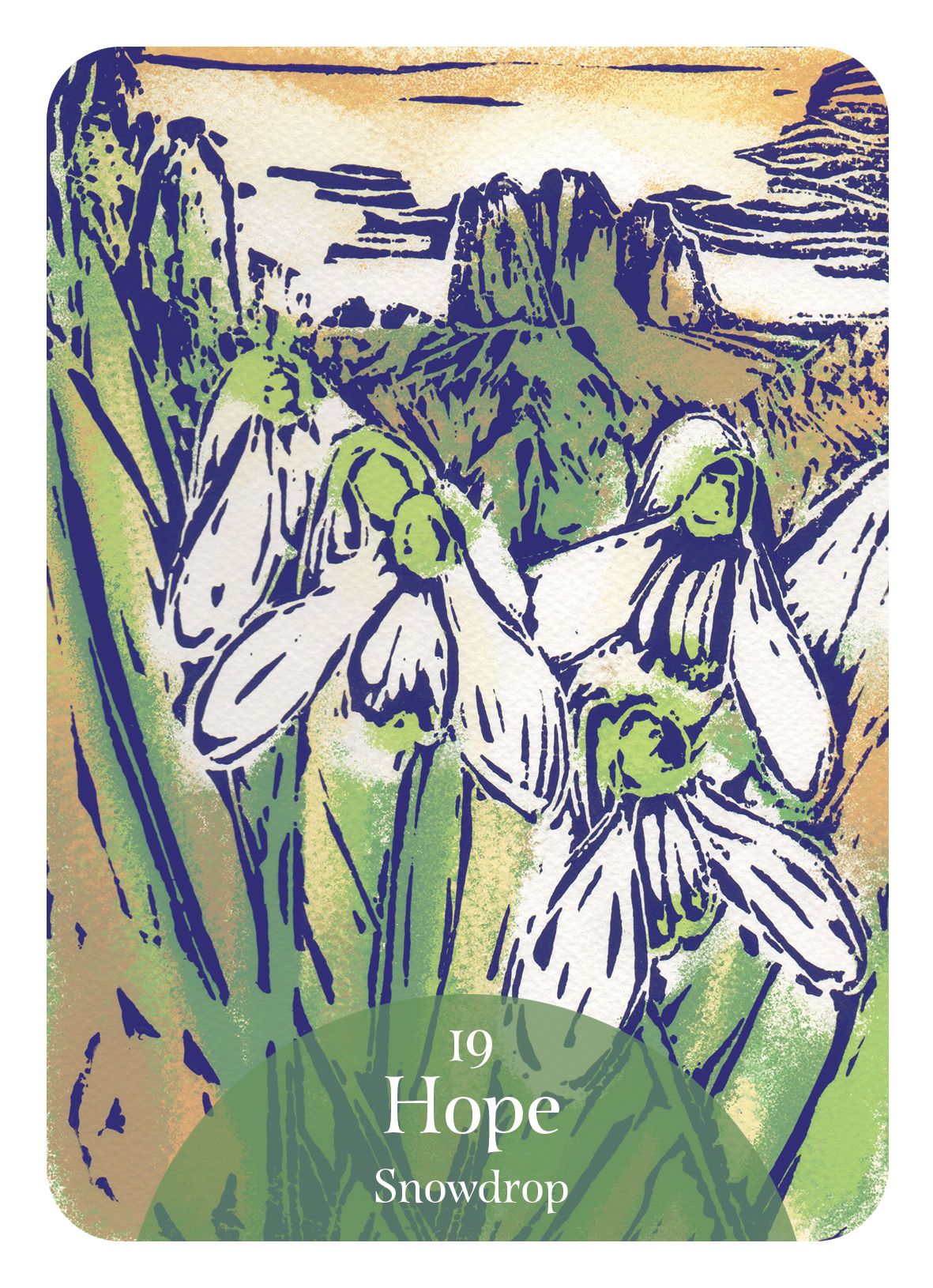 Language of Flowers Cards